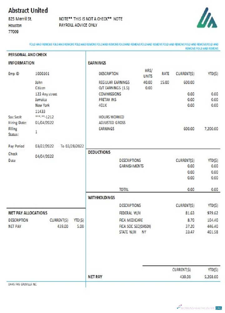 Download USA New York Abstract United pay stub Photoshop template